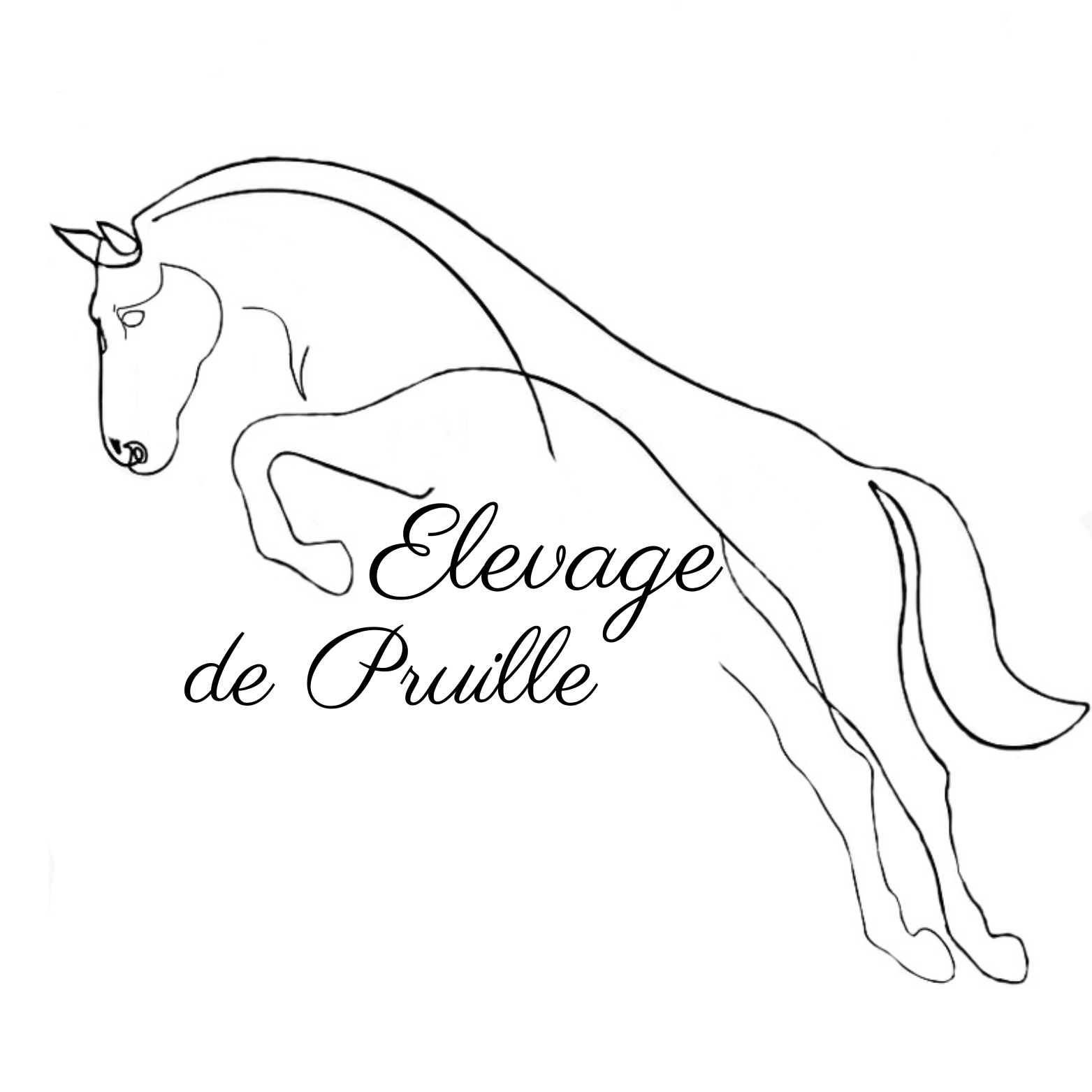 Elevage de Pruille